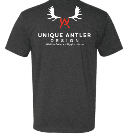 UA T-shirt